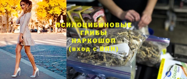 сатива Медвежьегорск