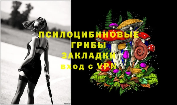 сатива Медвежьегорск