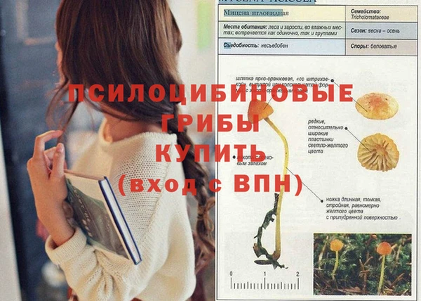 метадон Магас